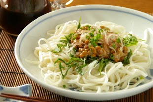 砥部焼・森陶房 大皿に冷やしうどんを
