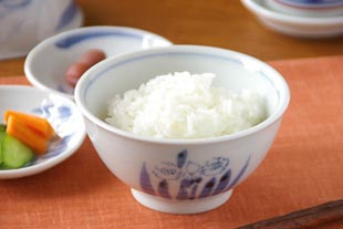 森陶房 すいせんの茶碗にご飯を